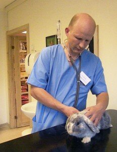 Žvėryno veterinarijos gydyklos veterinarai