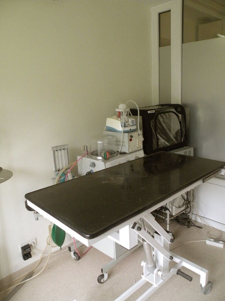 veterinarijos klinika vilniuje veterinarijos klinika vilnius