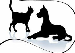 gyvūnų registracija, registracija, identifikacija