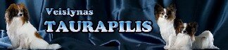 Veislynas Taurapilis